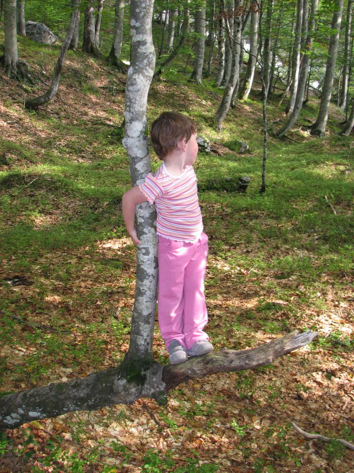 Zadnjica, Trenta - Zapotoški slapovi 27.9 - foto povečava