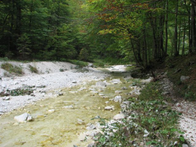 Zadnjica, Trenta - Zapotoški slapovi 27.9 - foto