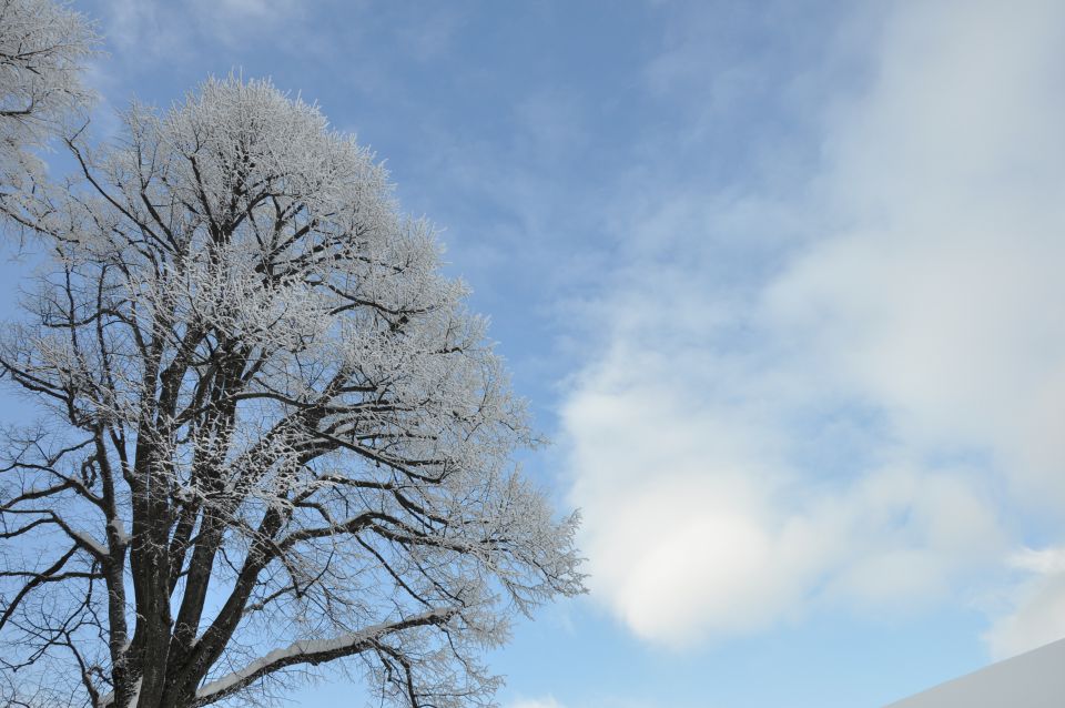 Doma 17.1.2010 - foto povečava