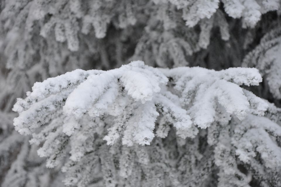 Doma 17.1.2010 - foto povečava