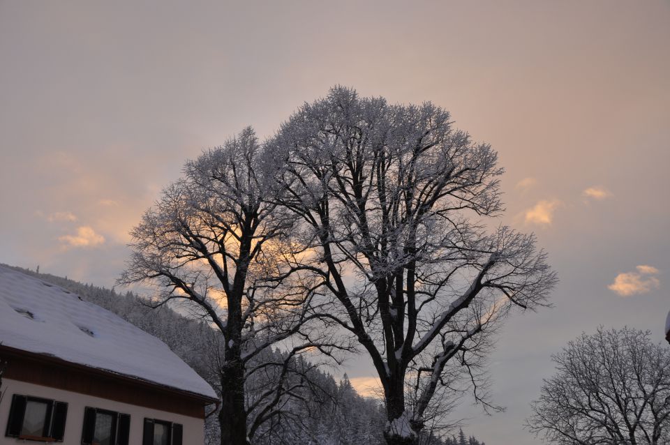 Doma 17.1.2010 - foto povečava