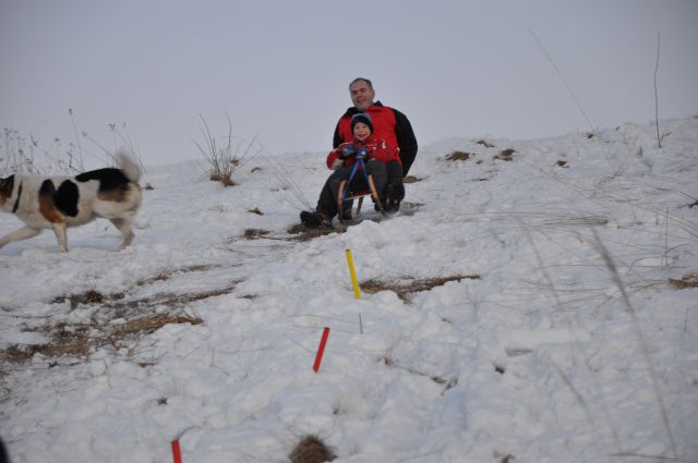 Sankanje 20.1.2010 Celje-Golovec - foto