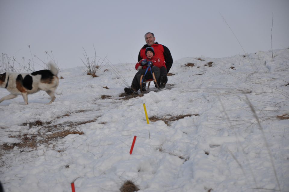 Sankanje 20.1.2010 Celje-Golovec - foto povečava