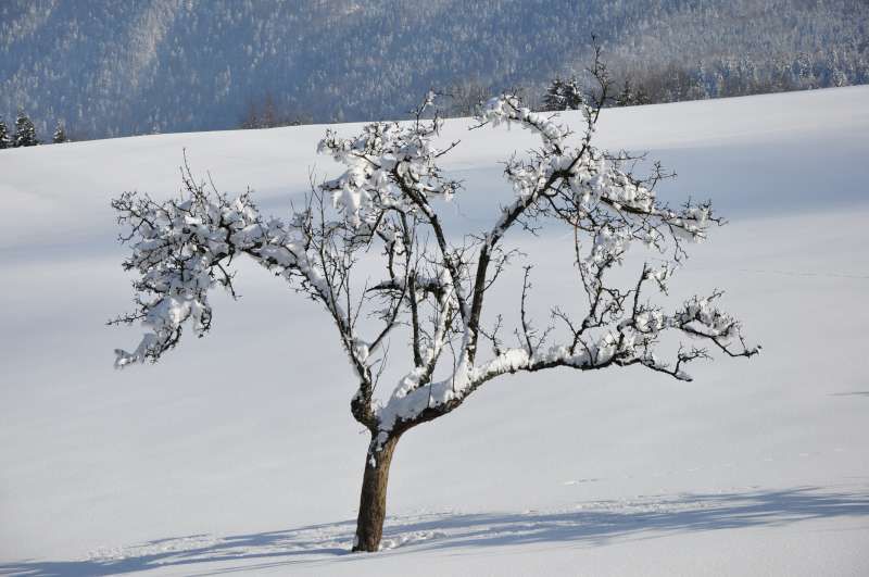 Vikend 14.2.2010 - foto povečava