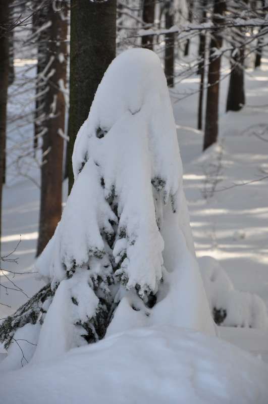 Vikend 14.2.2010 - foto povečava