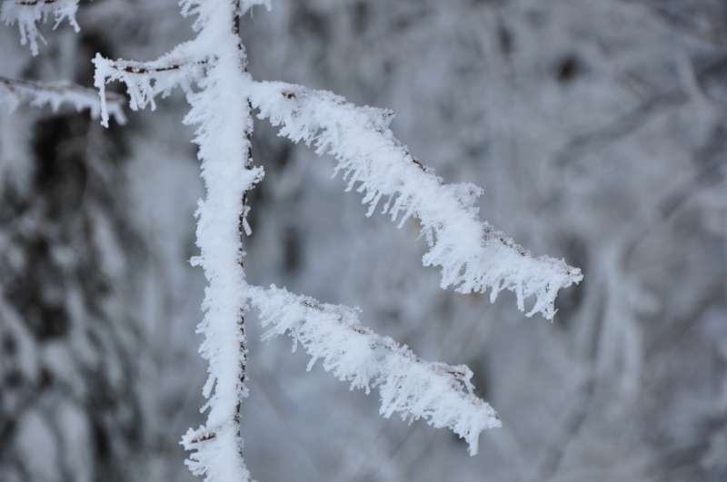 Vikend 14.2.2010 - foto povečava