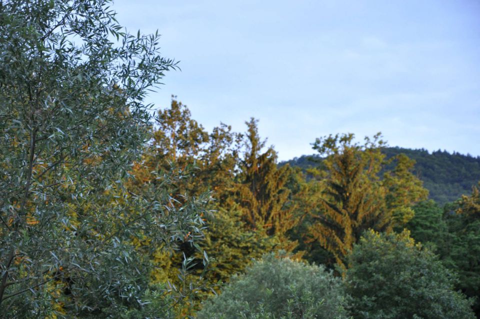 Z biciklom do Žalca - foto povečava