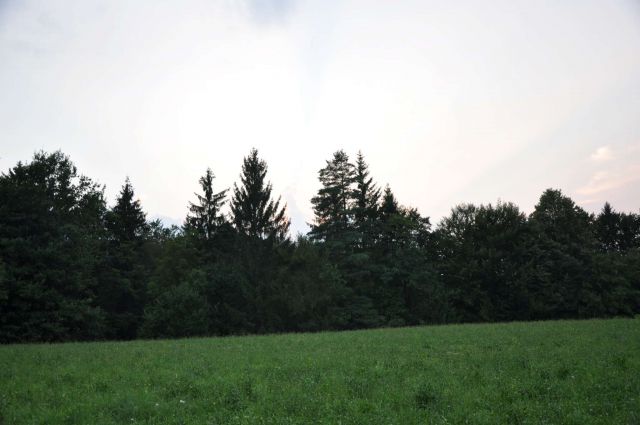 Celje, bike servis, na igrišče v mesto - foto