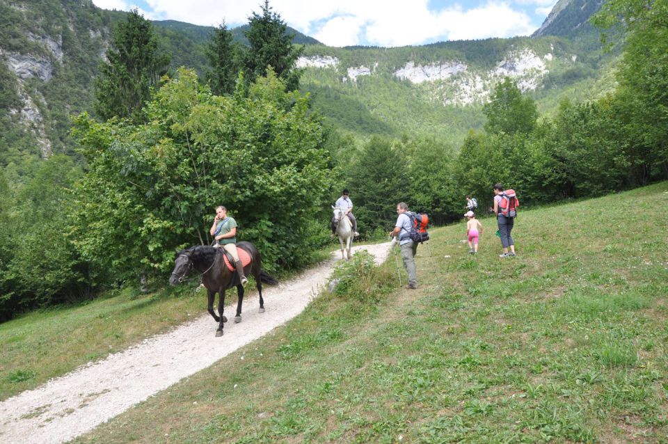 Voje, Uskovnica day V - foto povečava