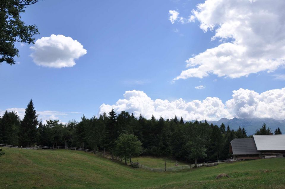 Voje, Uskovnica day V - foto povečava