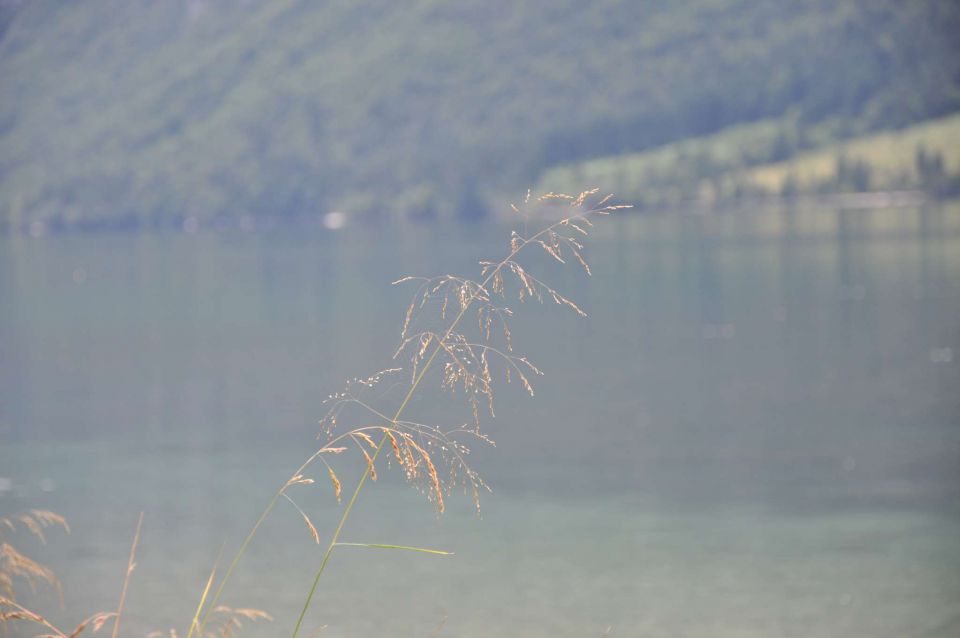 Bohinjska Bistrica, Bohinj, Jezero day 6 - foto povečava