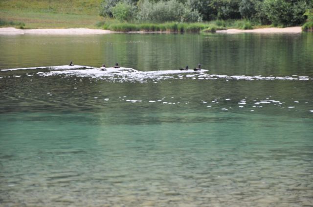Bohinjska Bistrica, Bohinj, Jezero day 6 - foto