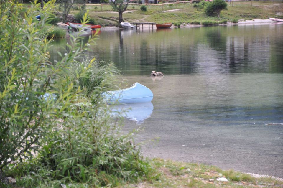 Bohinj z okolico, s kanujem po jezeru day 7 - foto povečava