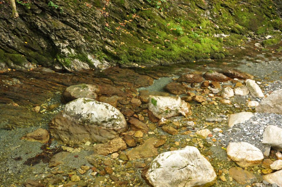 Dolina Ribnice, Boh. bistrica, Bled day 10 - foto povečava