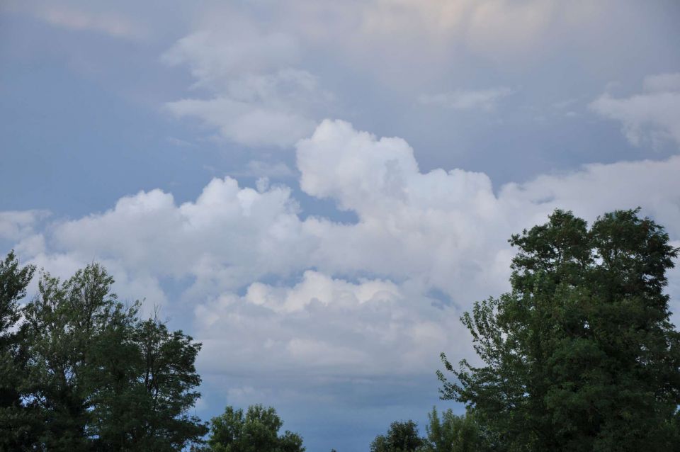 Čatež, 6-7.8.2010 - foto povečava