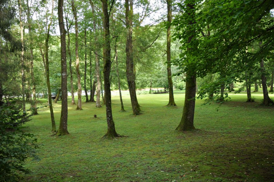 Čatež, 6-7.8.2010 - foto povečava