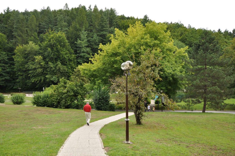 Čatež, 6-7.8.2010 - foto povečava