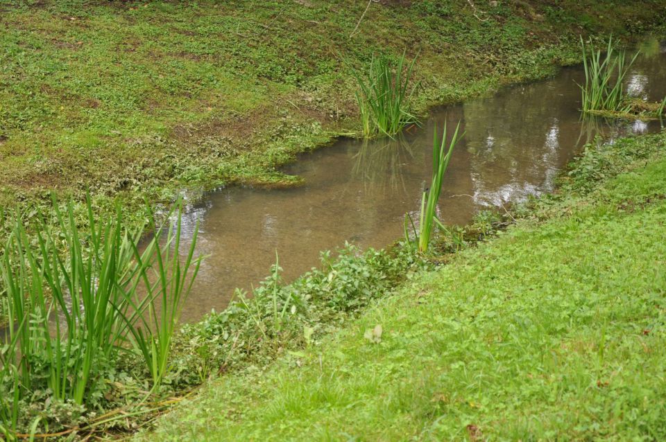 Čatež, 6-7.8.2010 - foto povečava