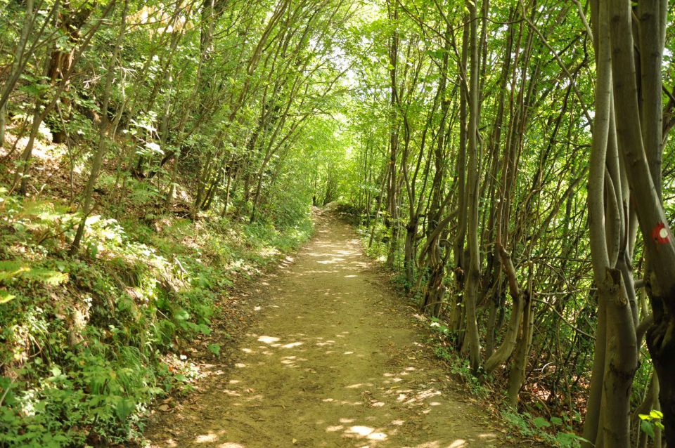 Celje sprehod, mavrica, Celjska koča - foto povečava