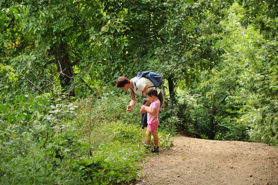 Celje sprehod, mavrica, Celjska koča - foto povečava