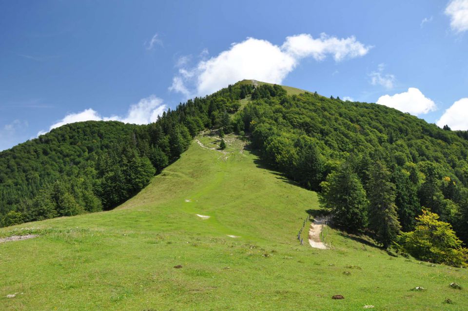 Blegoš - foto povečava