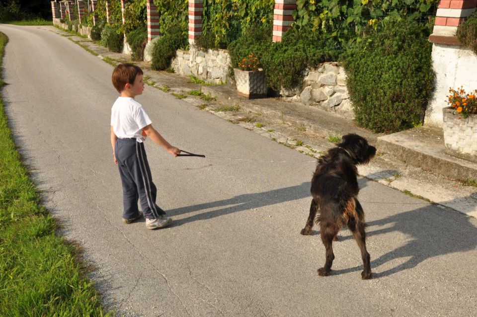 Prvi šolski dan, razno - foto povečava