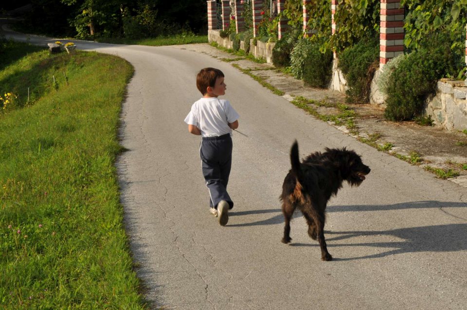 Prvi šolski dan, razno - foto povečava