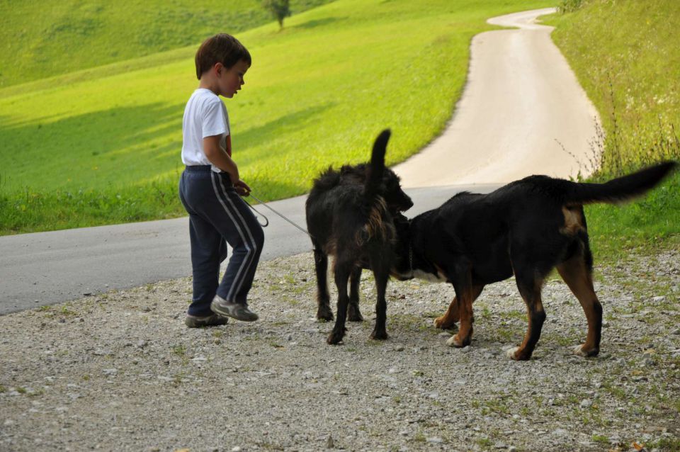 Prvi šolski dan, razno - foto povečava