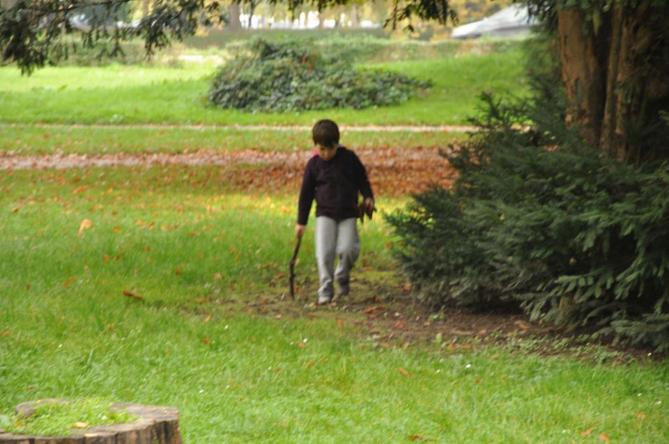 Taborniki - foto povečava