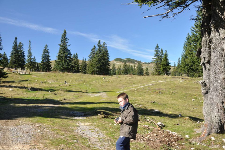 Velika planina okt. 2010 - foto povečava