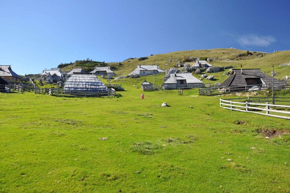 Velika planina okt. 2010 - foto povečava