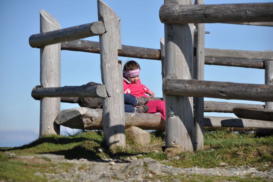 Velika planina okt. 2010 - foto povečava