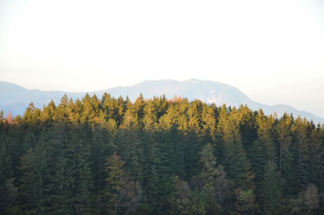 Velika planina okt. 2010 - foto