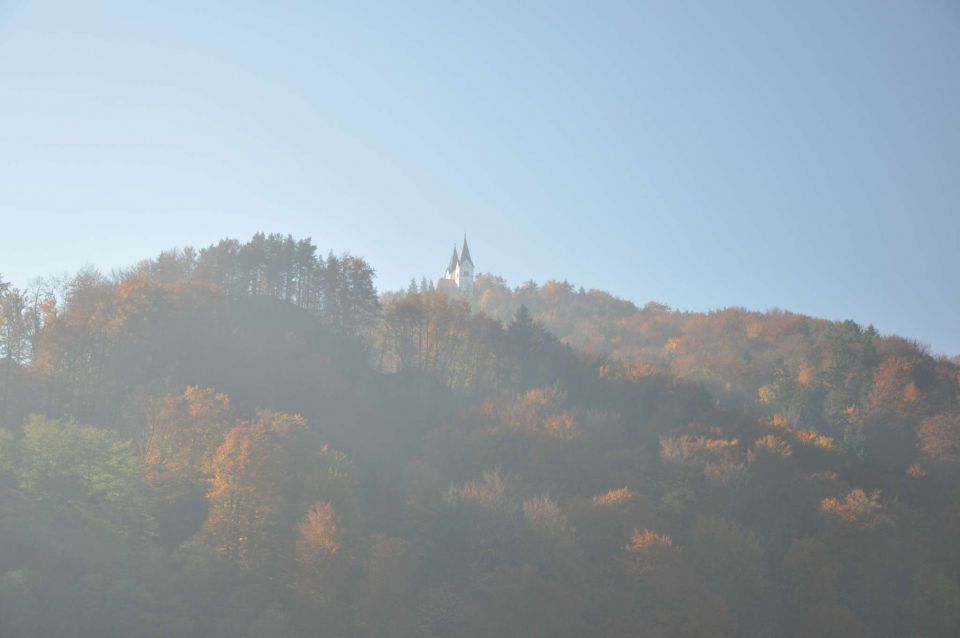 Šmohor 29.10.2010 1 - foto povečava