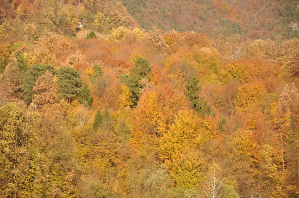 Boč 30.10.2010 - foto povečava