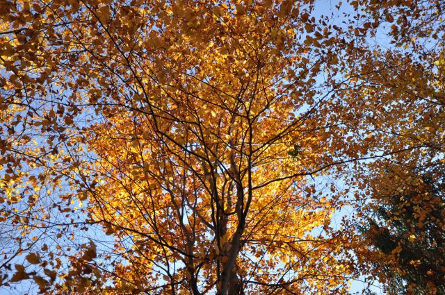 Boč 30.10.2010 - foto