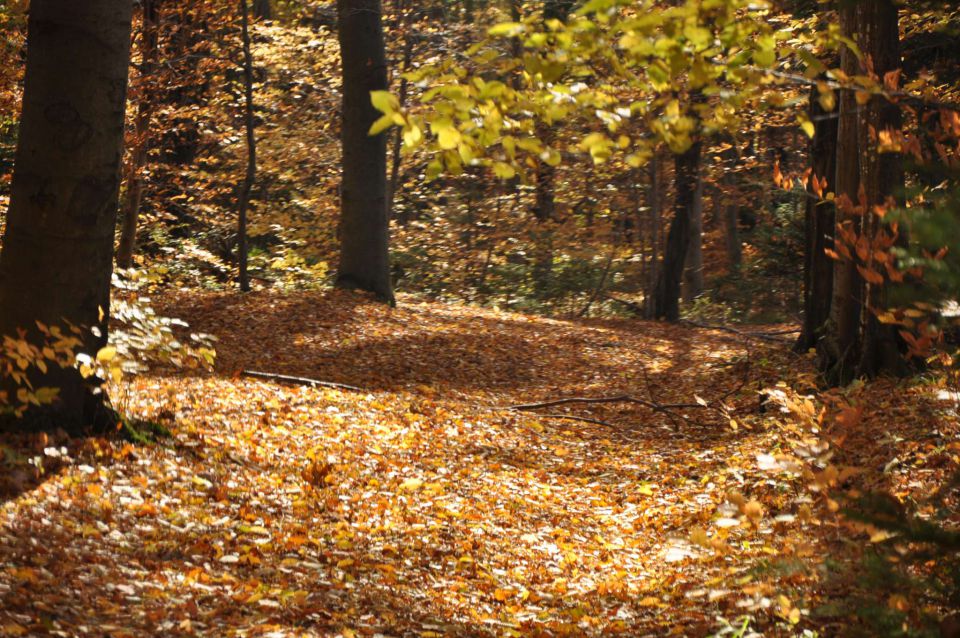 Boč 30.10.2010 - foto povečava