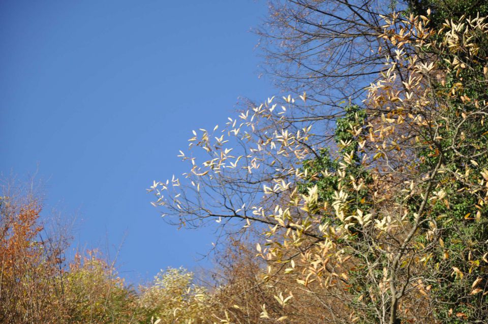 Boč 30.10.2010 - foto povečava