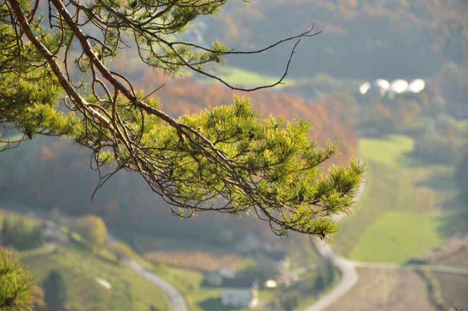 Boč 30.10.2010 - foto povečava