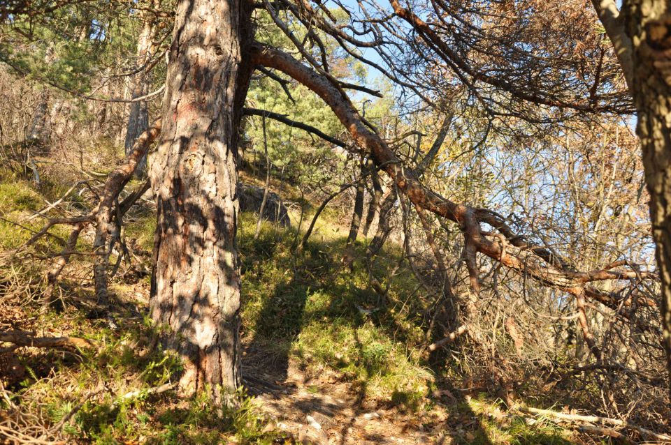 Boč 30.10.2010 - foto povečava