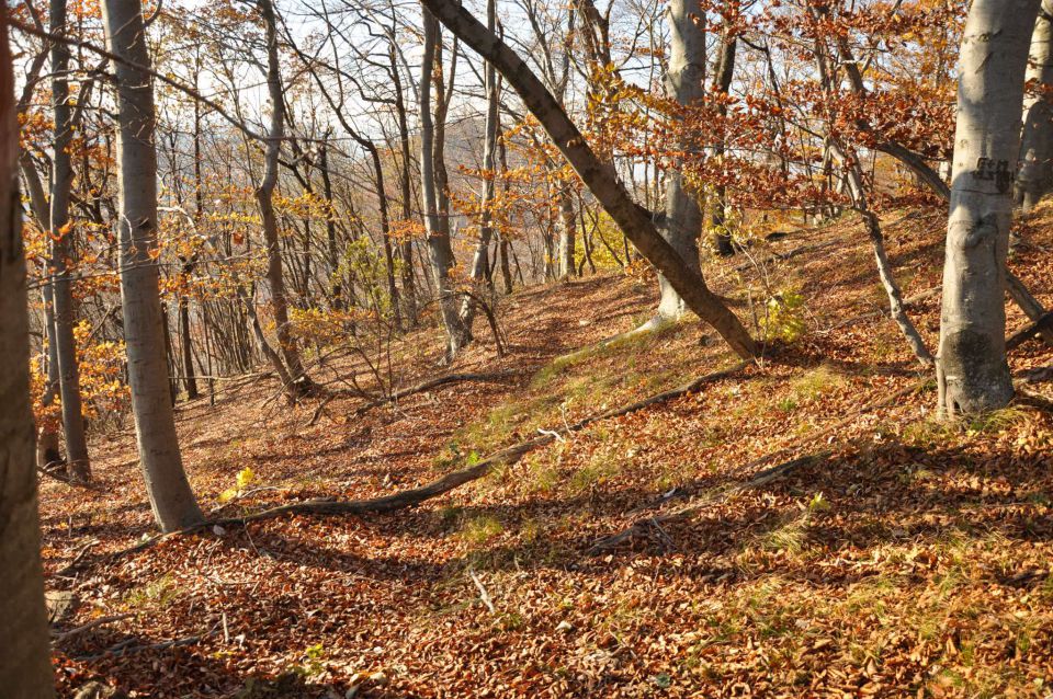 Boč 30.10.2010 - foto povečava