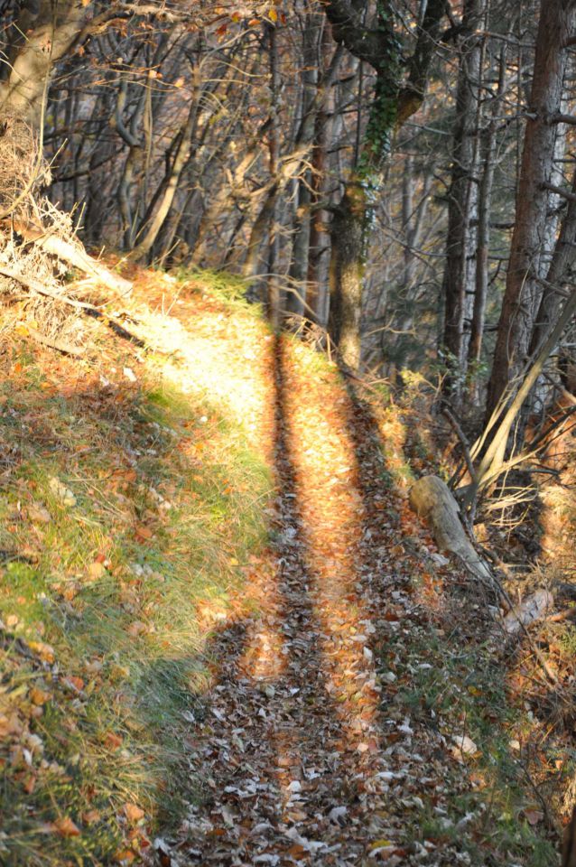 Boč 30.10.2010 - foto povečava