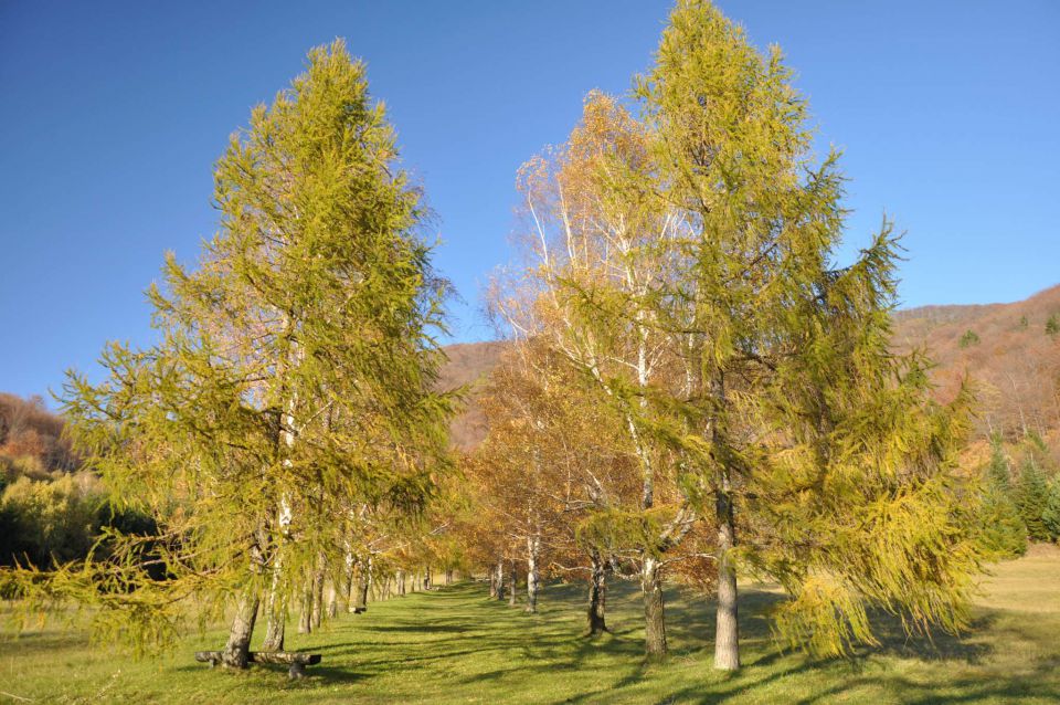 Boč 30.10.2010 - foto povečava