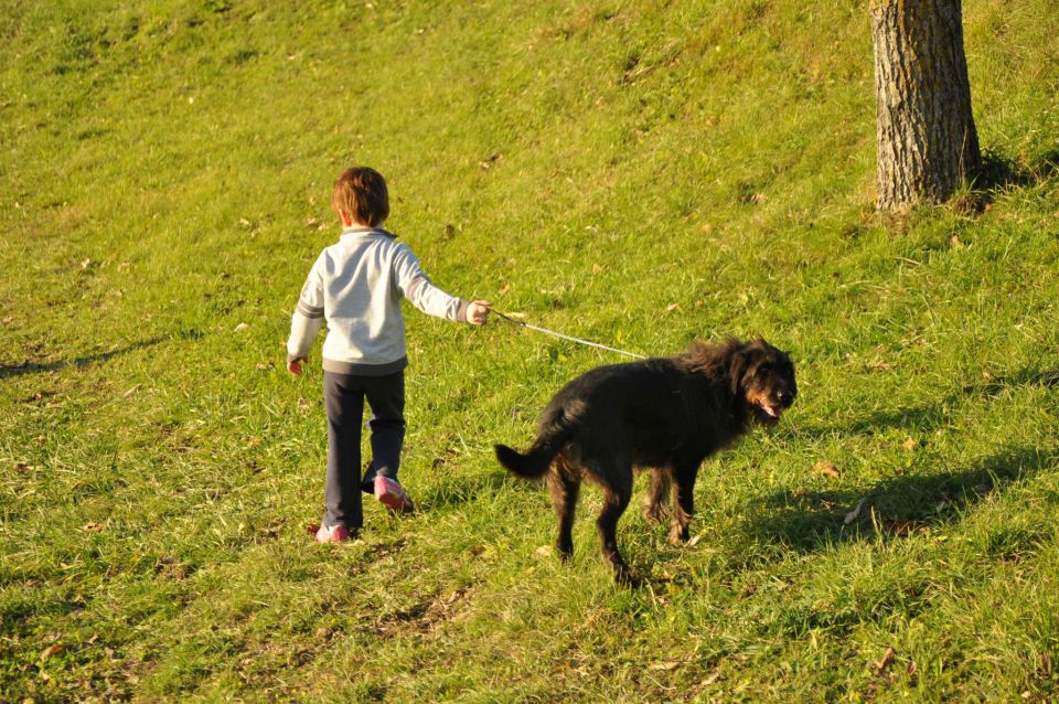 Pečica 13.11.2010 - foto povečava