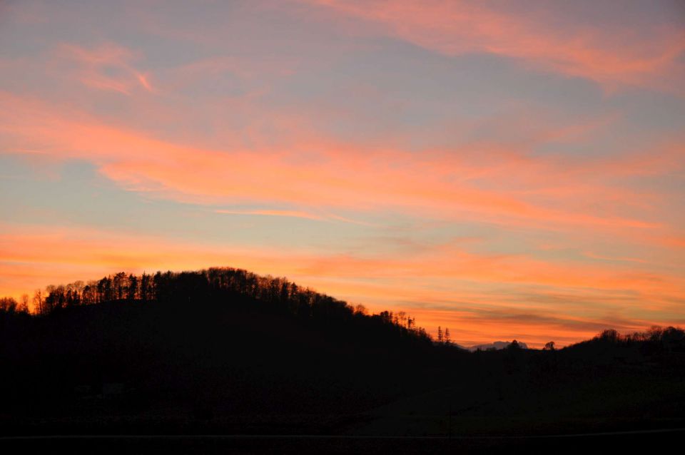 Pečica 13.11.2010 - foto povečava