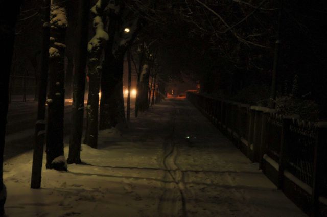 Večerni sprehod v snegu 28.11.2010 - foto