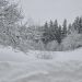 Savinjska 4.12.2010