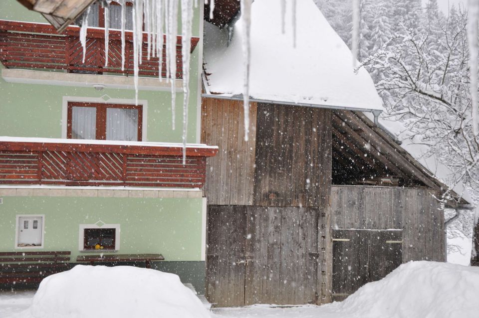 Savinjska 4.12.2010 - foto povečava