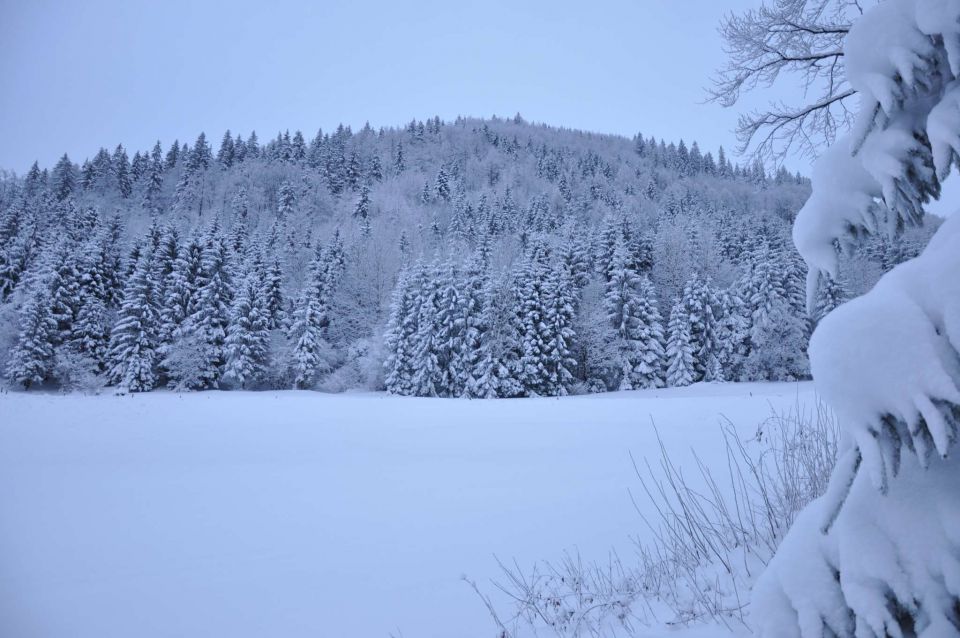 Savinjska 4.12.2010 - foto povečava