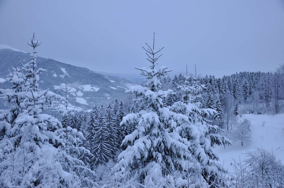 Savinjska 4.12.2010 - foto povečava